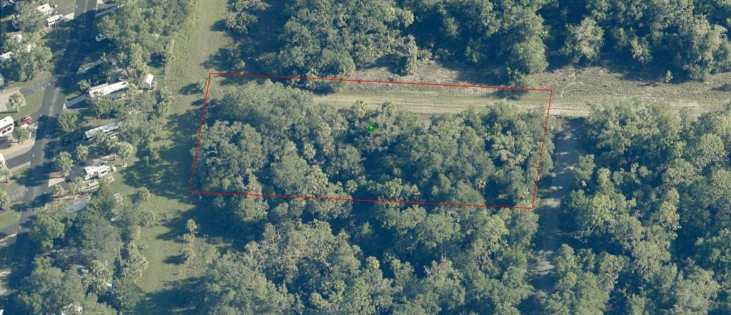 9999 N SNOWBALL POINT, CRYSTAL RIVER, FL — photo 4 of 23