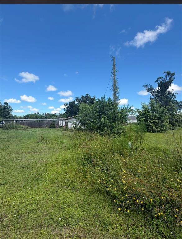 A grassy lot features a utility pole, overgrown vegetation, and a distant house with fencing — 12486 POEM AVENUE, PUNTA GORDA, FL