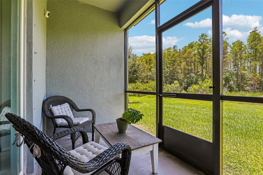 A screened-in patio features two wicker chairs, a small wooden table, and a grassy view — 17448 RADIANT SHINE WAY, LUTZ, FL
