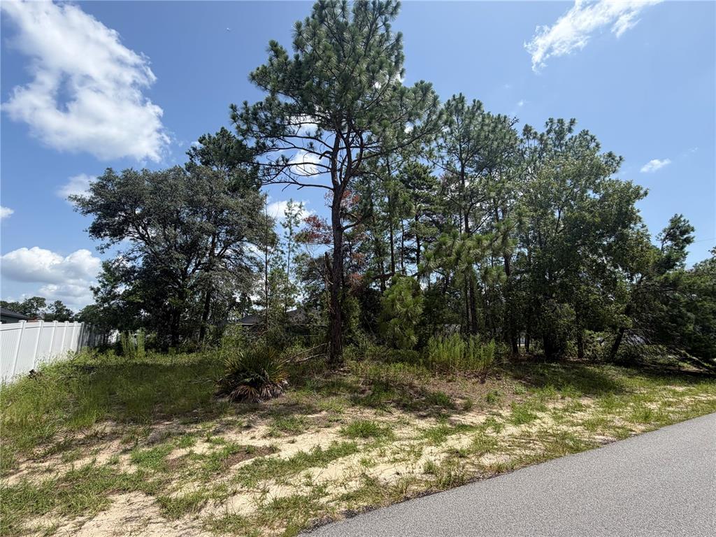 A vacant, wooded lot sits beside a paved road with a white fence nearby — TBD SW 63RD TERRACE, OCALA, FL