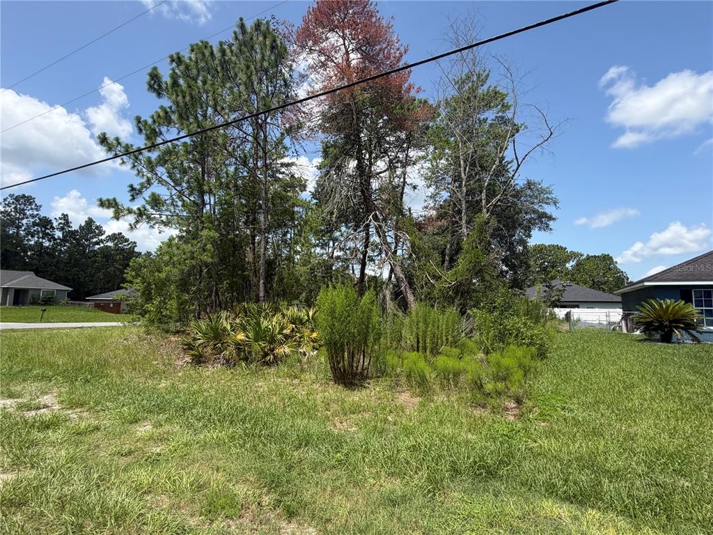 A vacant, grassy lot features a cluster of trees and shrubs under a blue sky — TBD SW 63RD TERRACE, OCALA, FL