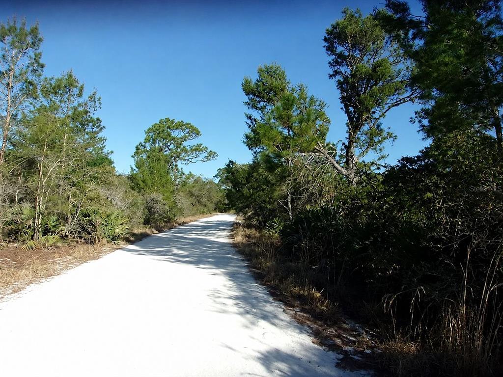 A white sand road winds through a wooded area under a clear blue sky — 10566 INTERLACHER DRIVE, SEBRING, FL