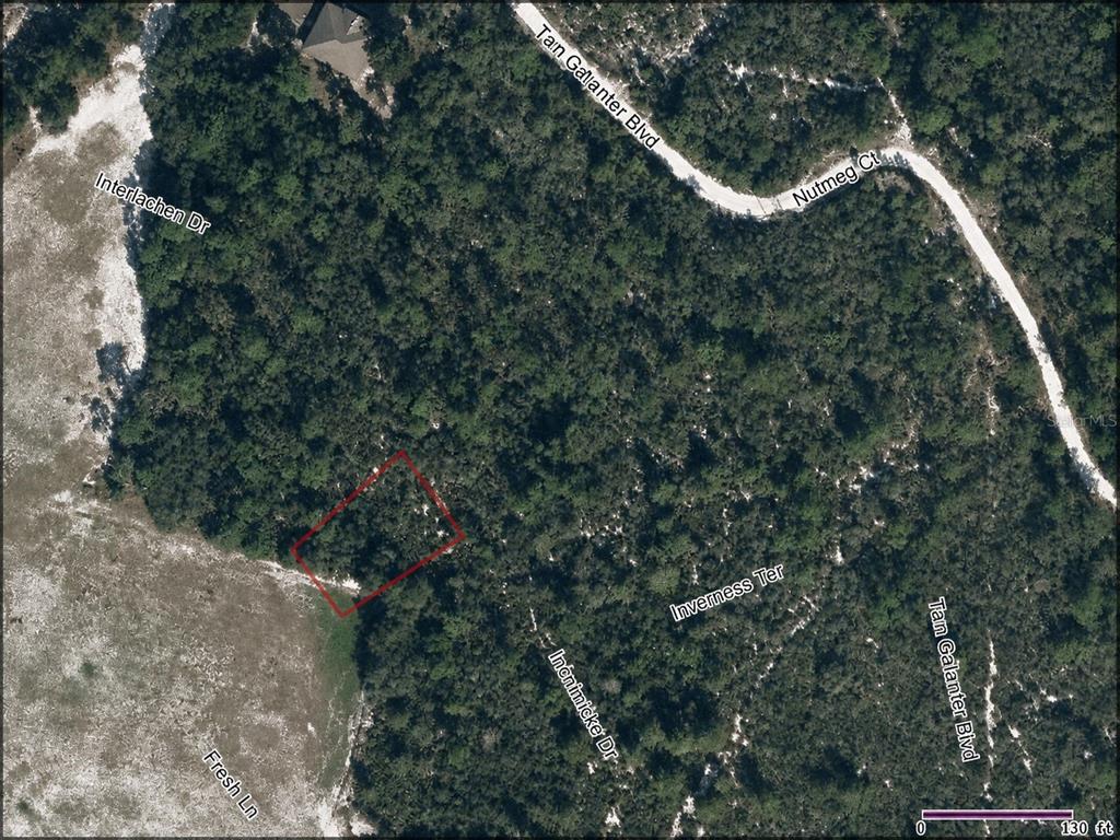 This is an aerial map showing a rectangular property lot outlined in red within a wooded area — 10566 INTERLACHER DRIVE, SEBRING, FL