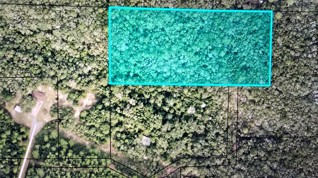 An aerial view shows a wooded lot with a highlighted rectangular property boundary — 00 MEMORY LANE, MILTON, FL