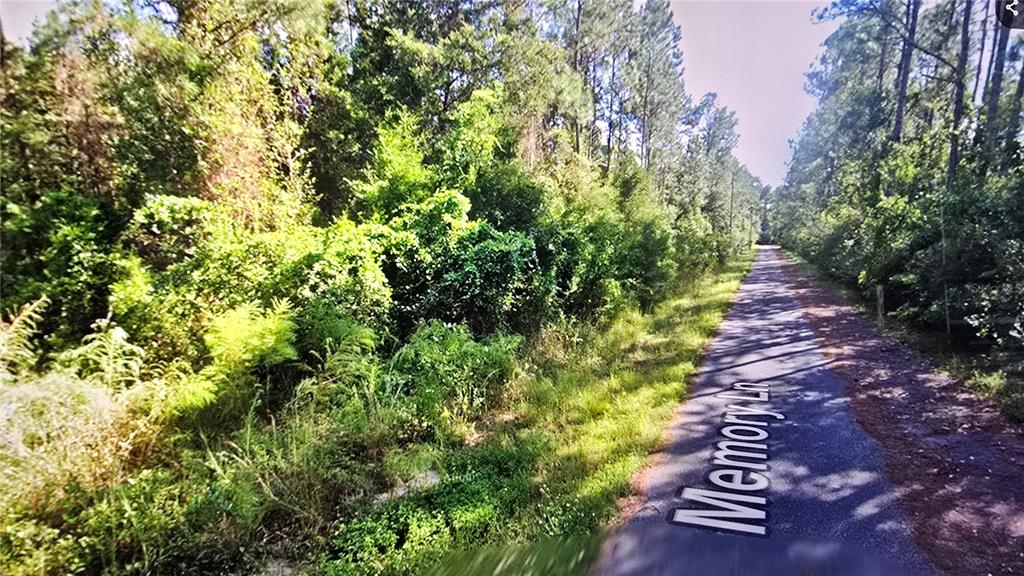 A narrow, paved road winds through a dense, wooded area with thick green vegetation — 00 MEMORY LANE, MILTON, FL