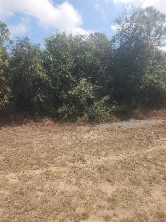 A view of a grassy, dirt lot bordered by dense trees and shrubs — S SAN MATEO DRIVE, NORTH PORT, FL