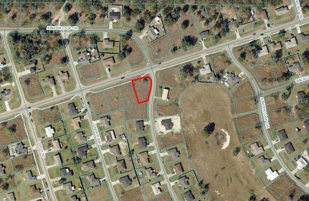 JUNIPER LOOP CIR, OCALA, FL — photo 2 of 3