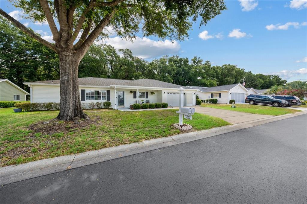 A single-story house with a white exterior, a large front tree, and a paved driveway — 14748 SW 112TH CIRCLE, DUNNELLON, FL
