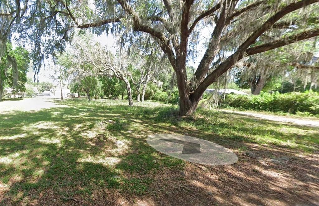 A large, moss-draped oak tree stands in a grassy, wooded lot — 13405 CR 719, WEBSTER, FL