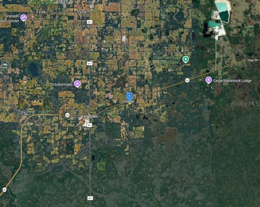 This is a satellite map view showing the area around Tarrytown and Linden, Florida — 13405 CR 719, WEBSTER, FL