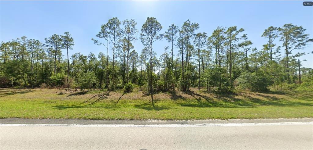 A grassy roadside leads to a wooded, undeveloped lot with tall pine trees — RIVER RANCH RD, LAKE WALES, FL