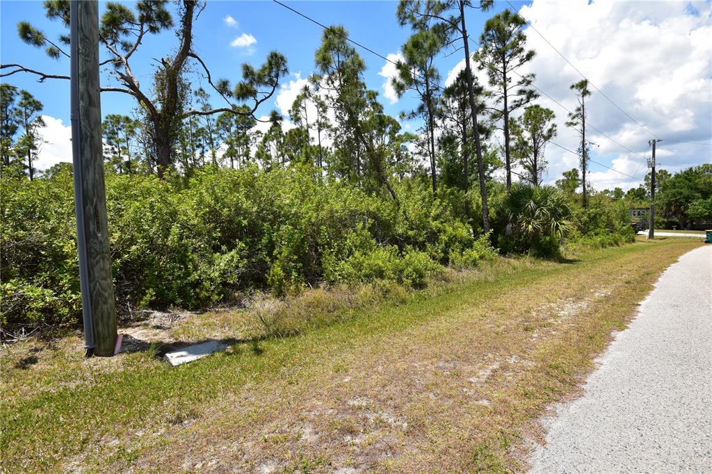 A vacant, wooded lot sits beside a paved road under a blue sky — 8337 HEBRON ROAD, PORT CHARLOTTE, FL
