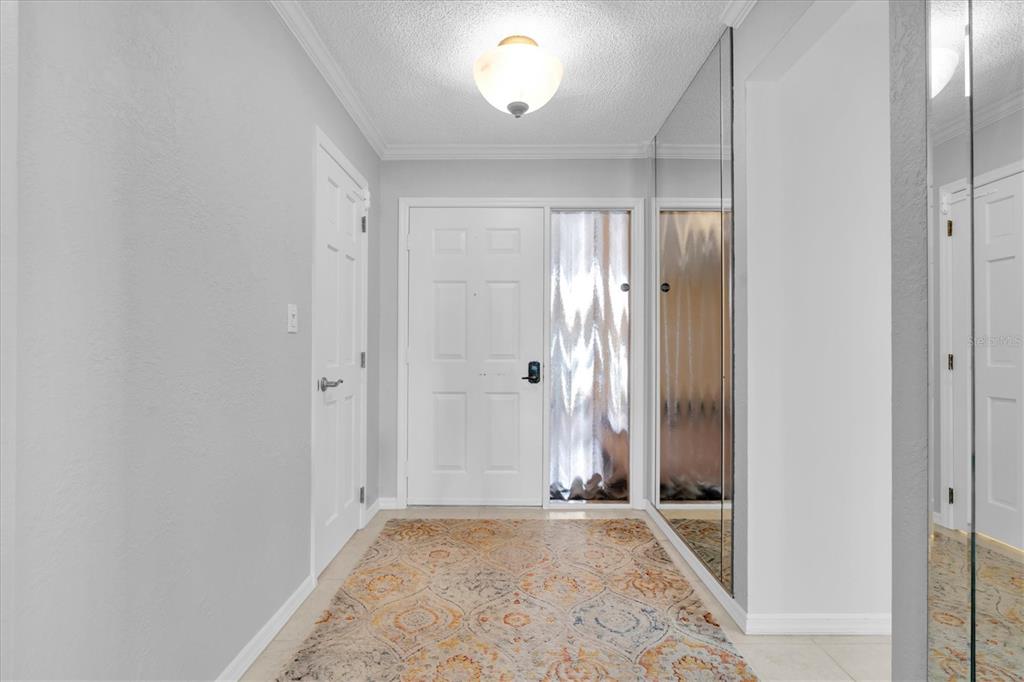 An entryway features a white front door, a patterned rug, and mirrored closet doors — 6500 SUNSET WAY UNIT 316, ST PETE BEACH, FL
