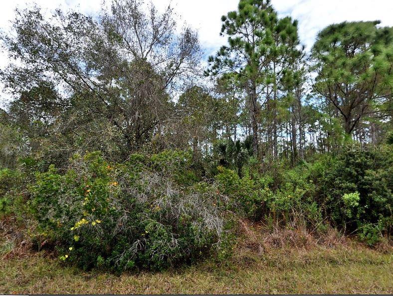 SILVERLEAF ROAD, NORTH PORT, FL — photo 2 of 6