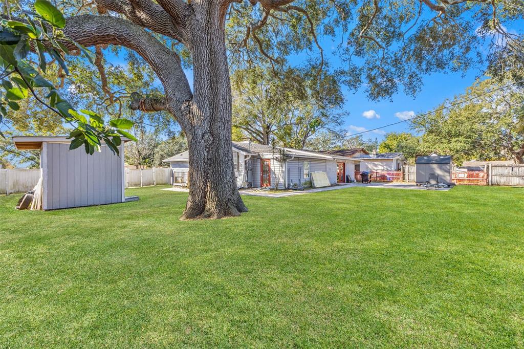 A large oak tree stands in the backyard of a house with a gray shed — 1747 26TH AVENUE N, ST PETERSBURG, FL