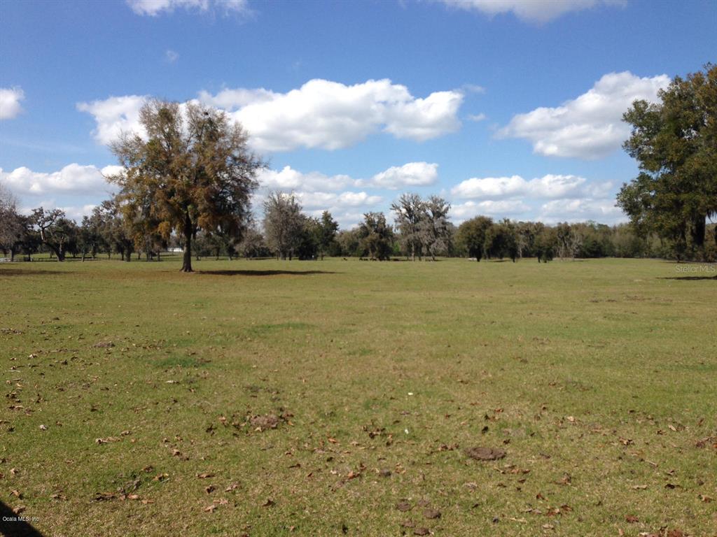 0 NW 95th STREET, OCALA, FL — photo 4 of 14