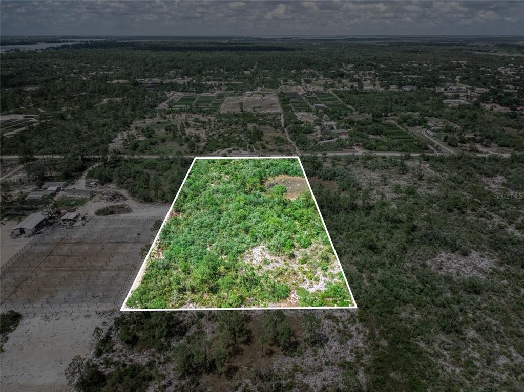 An aerial view shows a rectangular plot of land outlined in white amidst wooded terrain — 125 POLK STREET, LAKE PLACID, FL