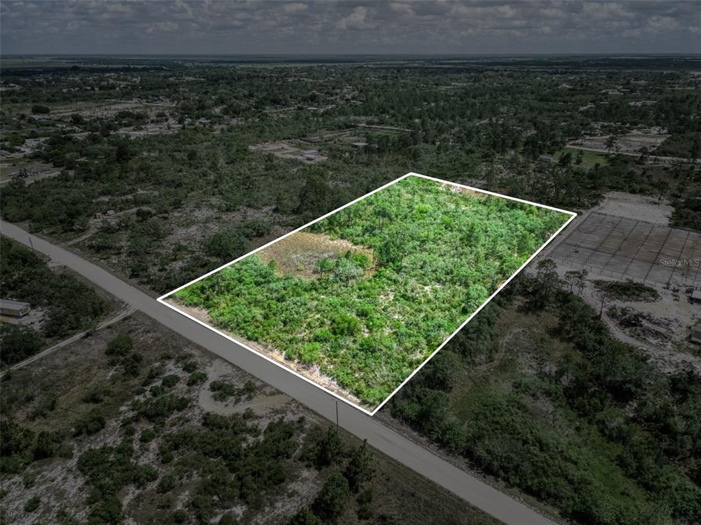 An aerial view shows a rectangular, undeveloped wooded lot bordering a paved road — 125 POLK STREET, LAKE PLACID, FL