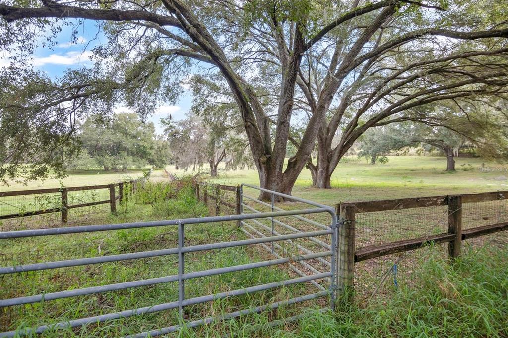 A metal gate opens to a grassy pasture shaded by large, mature oak trees — 0 ROLLING ACRES ROAD, FRUITLAND PARK, FL