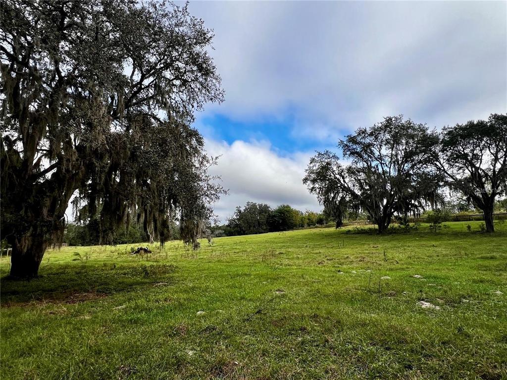 A grassy field features large, moss-draped oak trees under a partly cloudy sky — 0 ROLLING ACRES ROAD, FRUITLAND PARK, FL