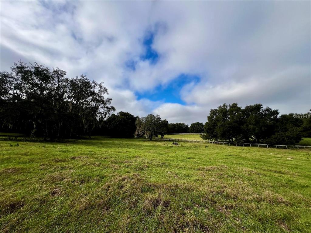 A grassy field with scattered trees under a cloudy blue sky — 0 ROLLING ACRES ROAD, FRUITLAND PARK, FL