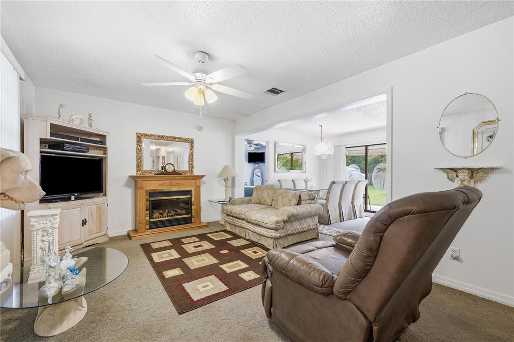 A living room features a fireplace, a brown rug, a television console, and a recliner — 44144 DOLLYS WAY, DELAND, FL