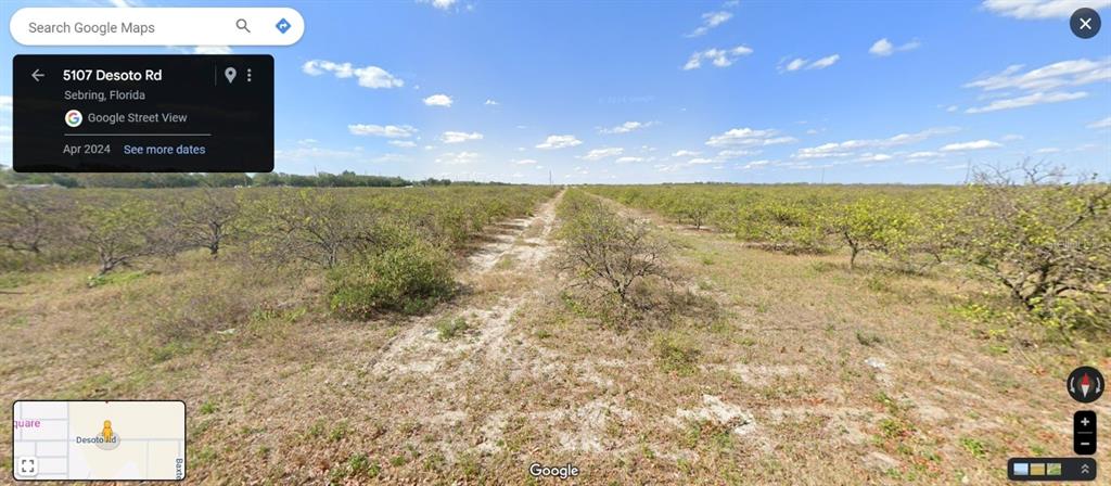 This image shows a dirt path running through a citrus grove under a blue sky — 3050 DESOTO CITY ROAD, SEBRING, FL