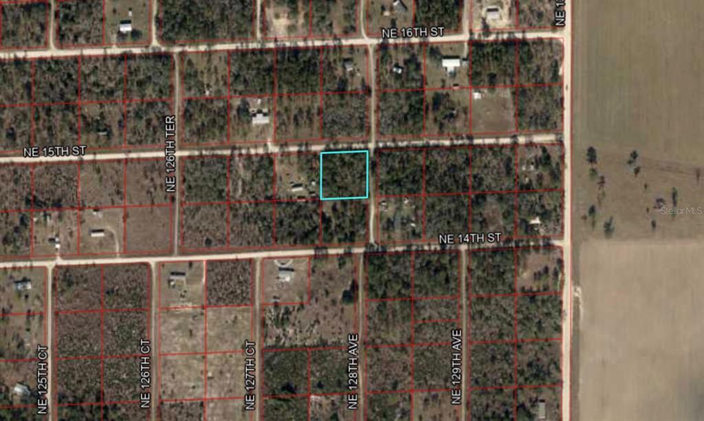 TBD NE 15TH STREET, WILLISTON, FL — photo 2 of 7