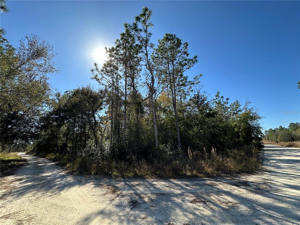 TBD NE 15TH STREET, WILLISTON, FL — photo 4 of 7