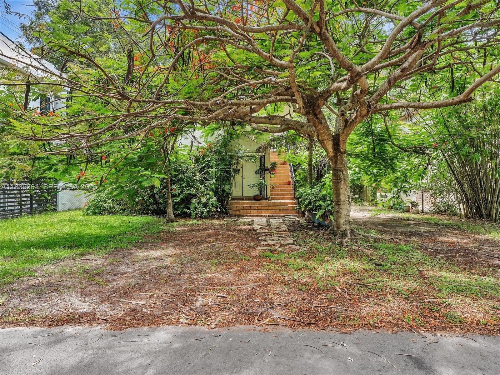 A large tree shades the front yard and entrance of a house with brick steps — 3210 E Elizabeth St, Miami FL 33133, MIAMI, FL