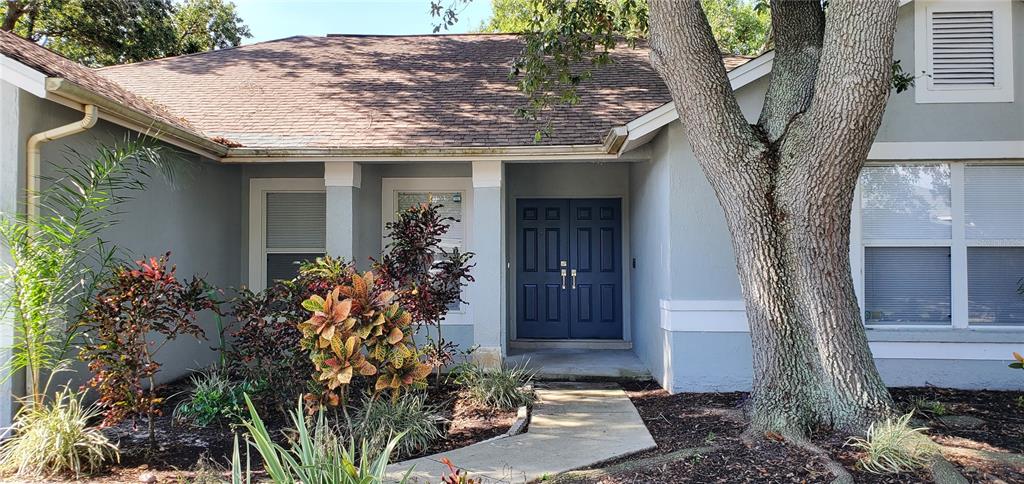A light gray house features a dark blue double front door and a large tree — 11608 WELLMAN DRIVE, RIVERVIEW, FL