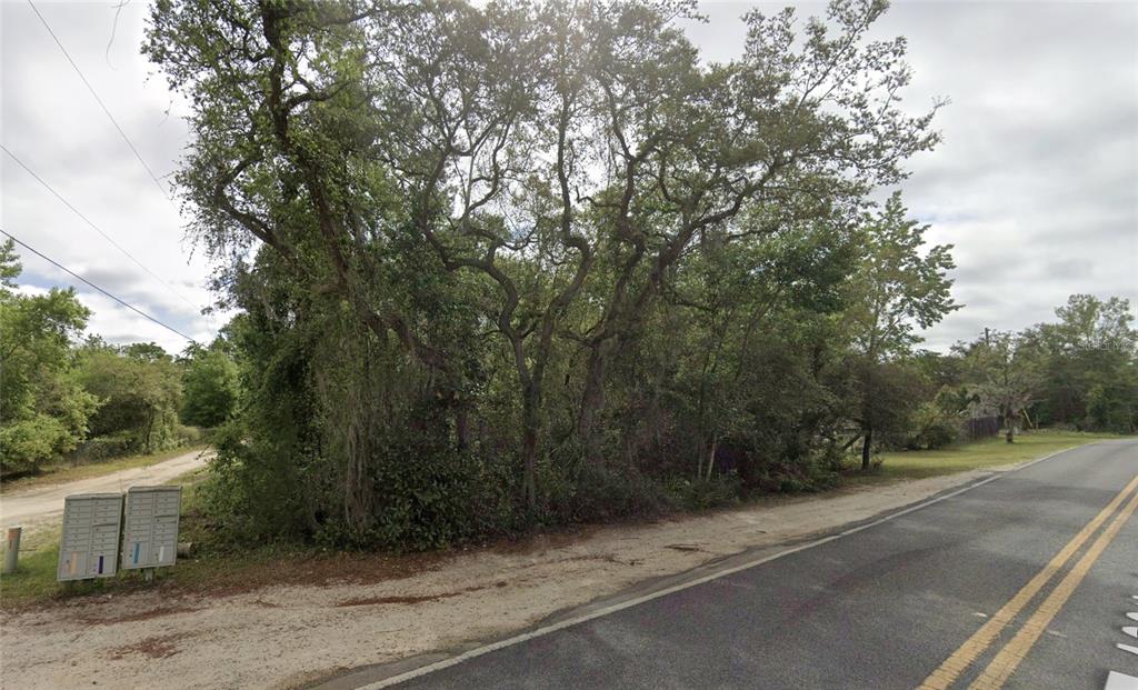 A wooded, undeveloped lot sits beside a paved road with a cluster of mailboxes — NE 154TH PLACE, FORT MC COY, FL