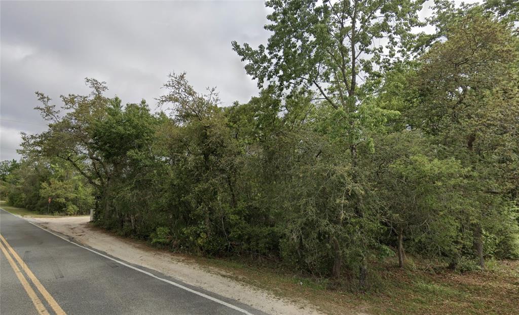 A paved road runs alongside a densely wooded, undeveloped plot of land — NE 154TH PLACE, FORT MC COY, FL