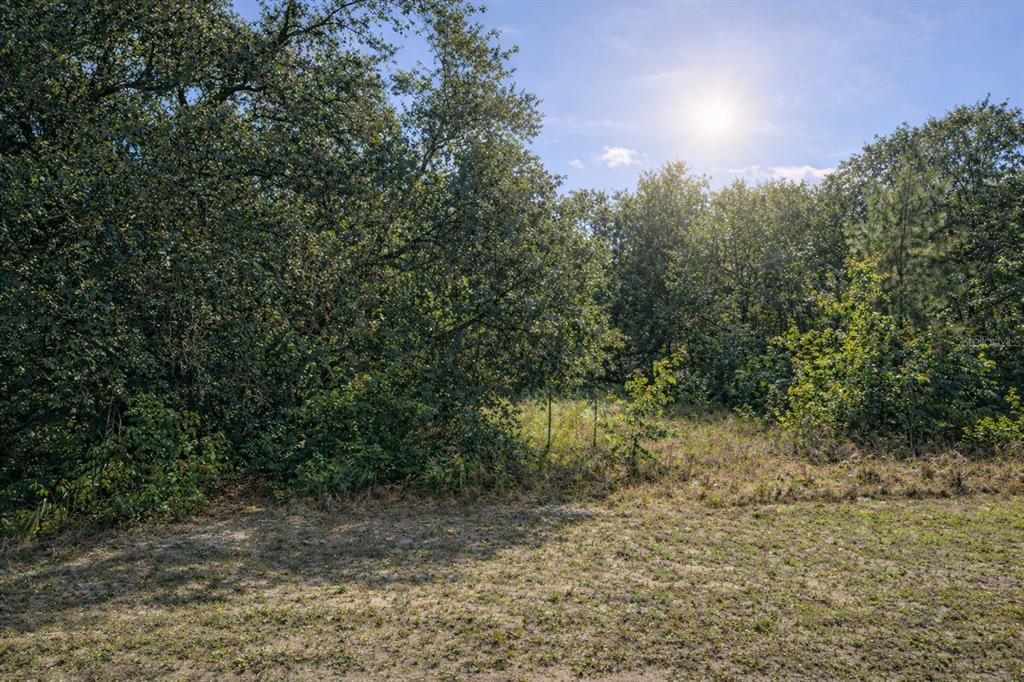 A sunny, grassy clearing is bordered by a dense line of mature trees — 4375 SW 194TH AVENUE, DUNNELLON, FL