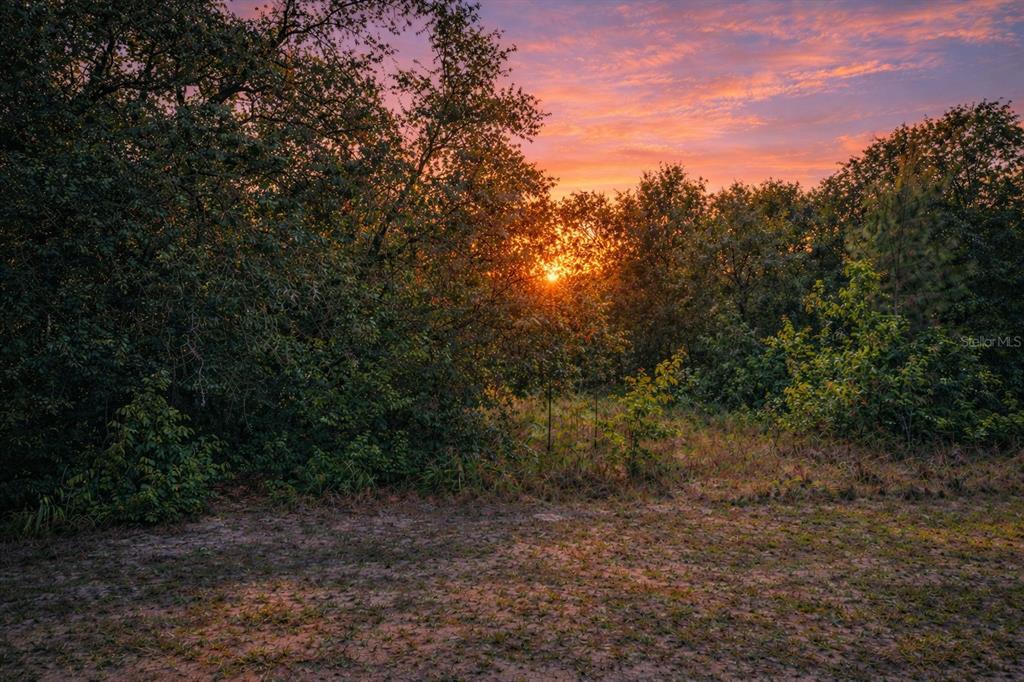 A sunset glows behind a dense line of trees bordering a sandy, grassy clearing — 4375 SW 194TH AVENUE, DUNNELLON, FL