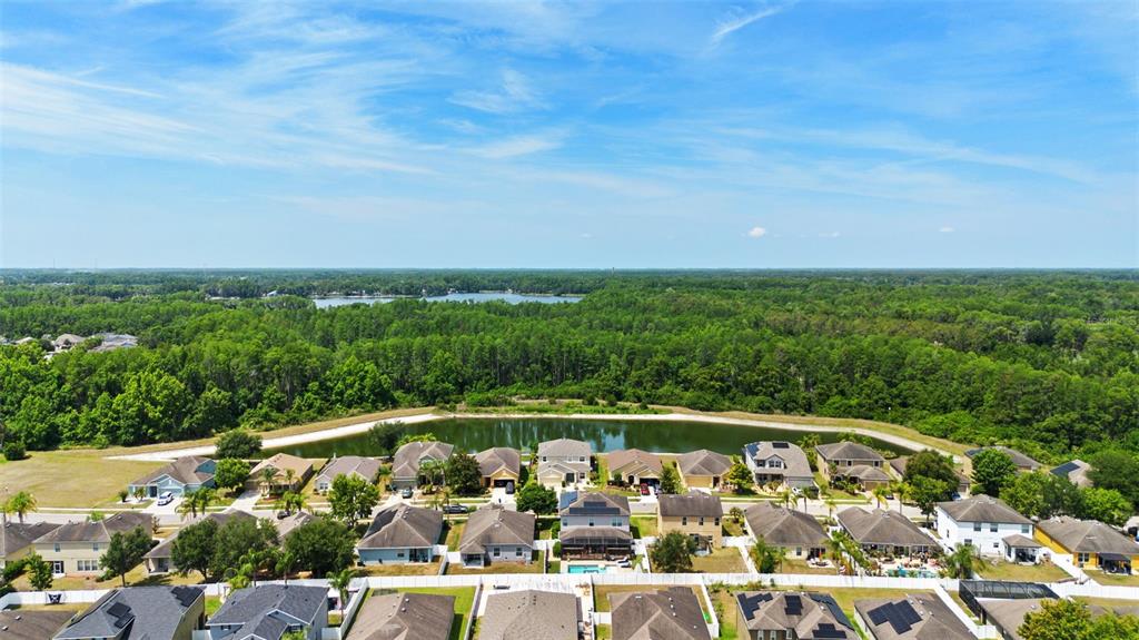 An aerial view shows a suburban neighborhood with houses bordering a small retention pond — 5521 SHASTA DAISY PLACE, LAND O LAKES, FL