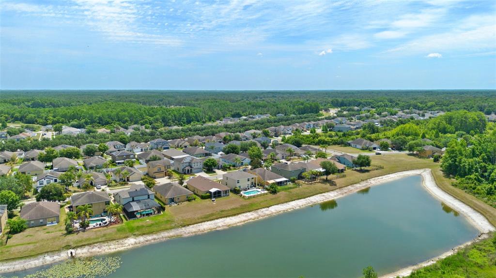 An aerial view shows a suburban neighborhood with houses bordering a large retention pond — 5521 SHASTA DAISY PLACE, LAND O LAKES, FL