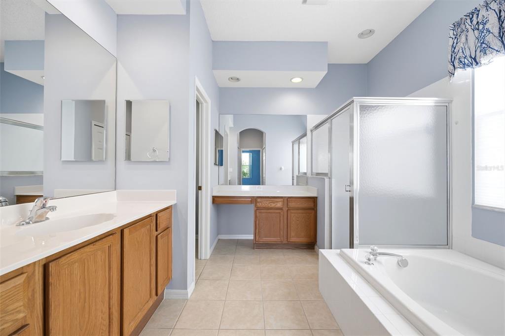 A bathroom with light blue walls, wood cabinets, a soaking tub, and a glass shower — 11407 LEEDS DRIVE, SPRING HILL, FL