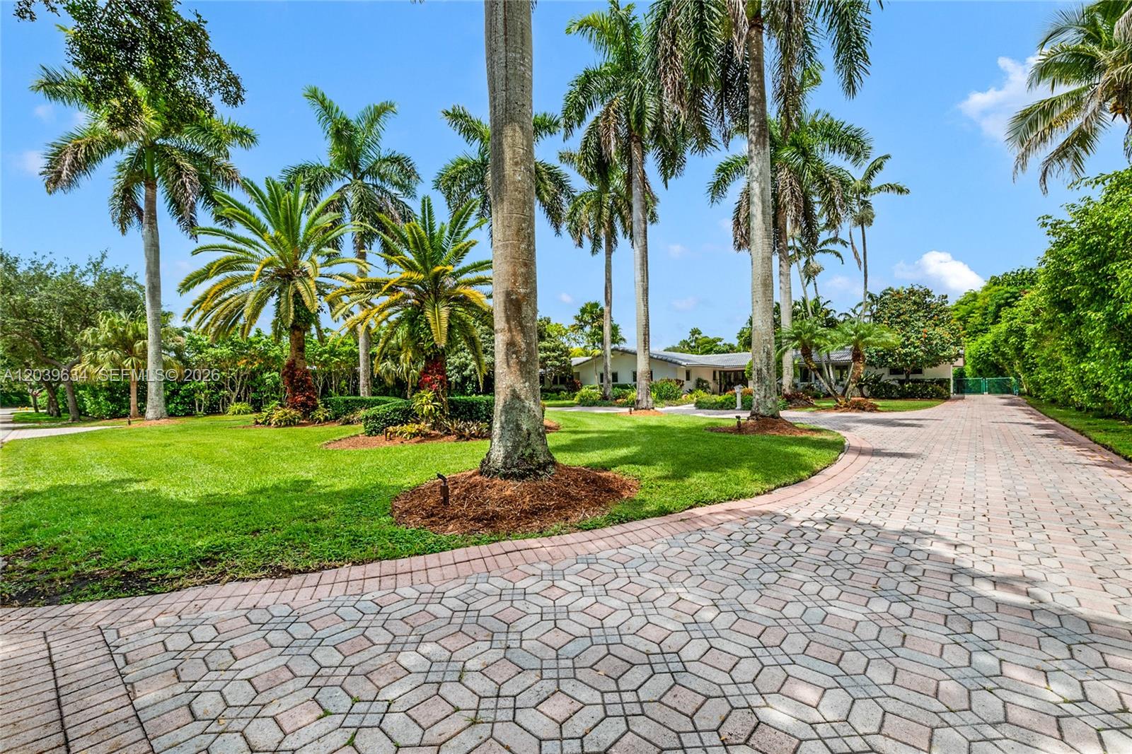 A paved driveway leads toward a house surrounded by palm trees and a green lawn — 11900 SW 63rd Ave, Pinecrest FL 33156, PINECREST, FL