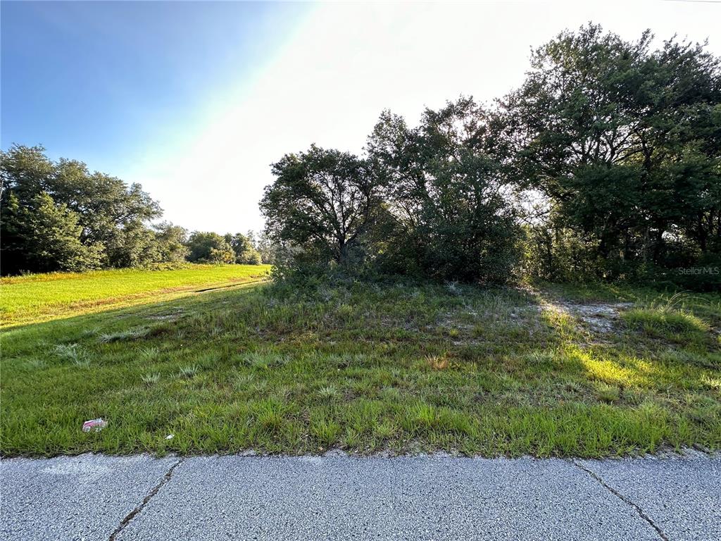 A grassy, partially wooded vacant lot sits adjacent to a paved road — 0 MEDITERRANEAN DRIVE, KISSIMMEE, FL