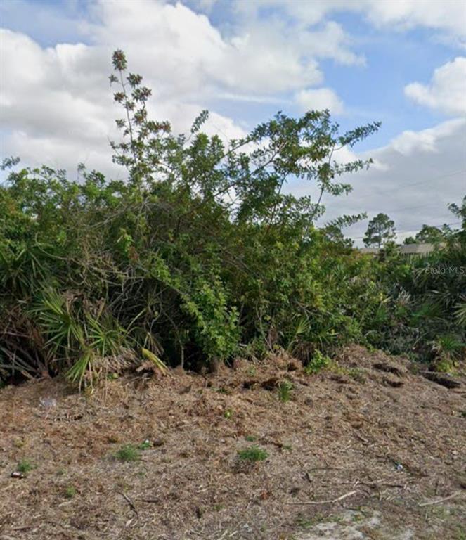 A vacant, overgrown lot features dense shrubs, small palm trees, and patches of cleared dirt — 2818 14TH STREET W, LEHIGH ACRES, FL