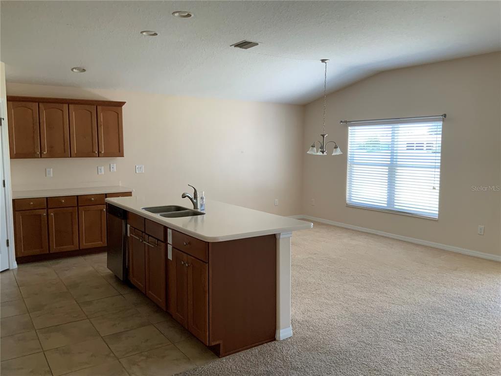 A kitchen with wood cabinets and a central island opens into a carpeted dining area — 27215 ROANOKE DRIVE, LEESBURG, FL