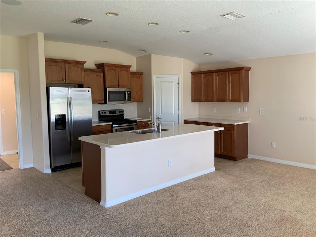 A kitchen features wood cabinets, stainless steel appliances, a center island, and beige carpeting — 27215 ROANOKE DRIVE, LEESBURG, FL