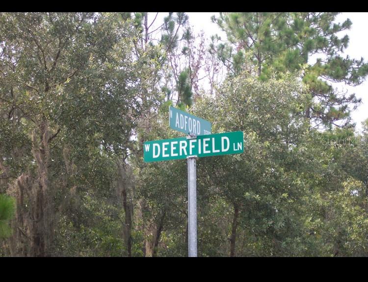 A street sign shows the intersection of W Deerfield Ln and Adford Ter among trees — 2156 W DEERFIELD LANE, DUNNELLON, FL