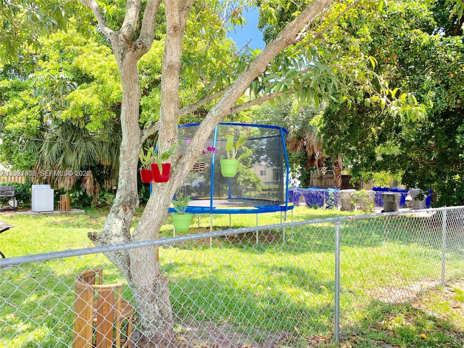 A backyard features a trampoline, hanging potted plants, a chain-link fence, and mature trees — 2325 N 25th Ave # 2325, Hollywood FL 33020, HOLLYWOOD, FL