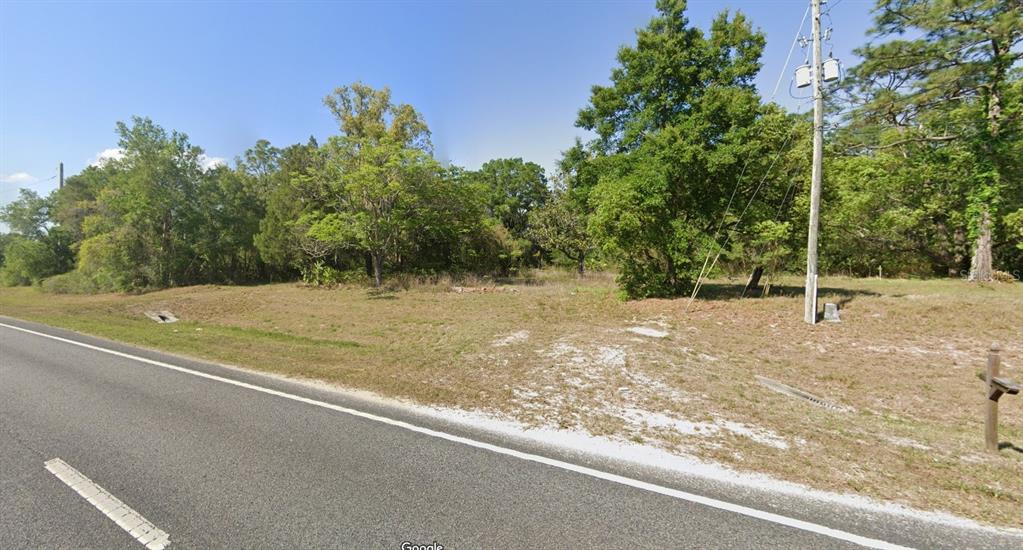 A vacant, grassy lot with trees borders a paved road next to a utility pole — 2401 N WOODLAND BOULEVARD, DELAND, FL