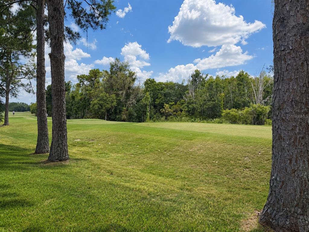 A view of a grassy golf course fairway bordered by tall pine trees and woods — 17422 HEATHER OAKS PLACE, TAMPA, FL