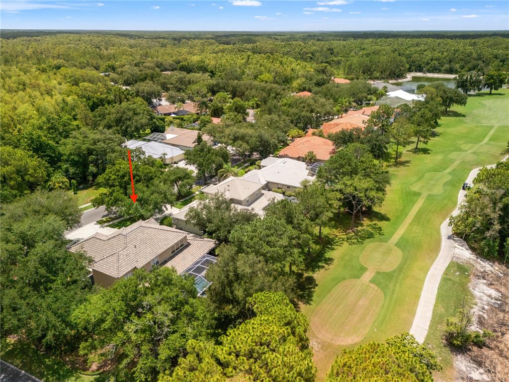 An aerial view shows a residential house with a tiled roof next to a golf course — 17422 HEATHER OAKS PLACE, TAMPA, FL