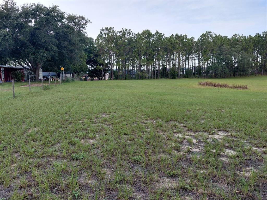 A large, grassy vacant lot is bordered by a wire fence and a line of trees — 14240 LOST LAKE ROAD, CLERMONT, FL