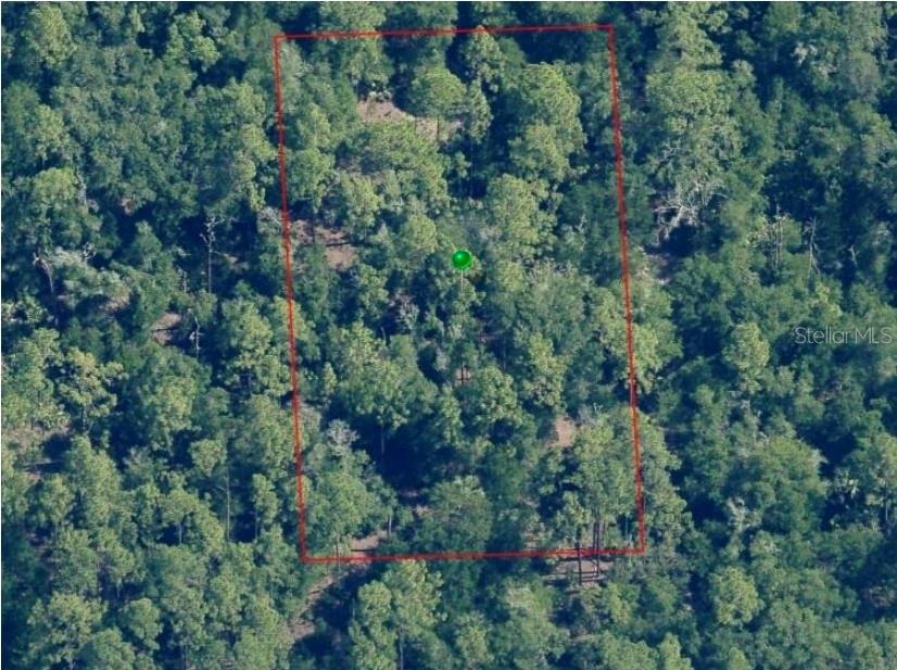 An aerial view shows a rectangular plot of land outlined in red within a forest — 9947 W TANGELO DRIVE, CRYSTAL RIVER, FL